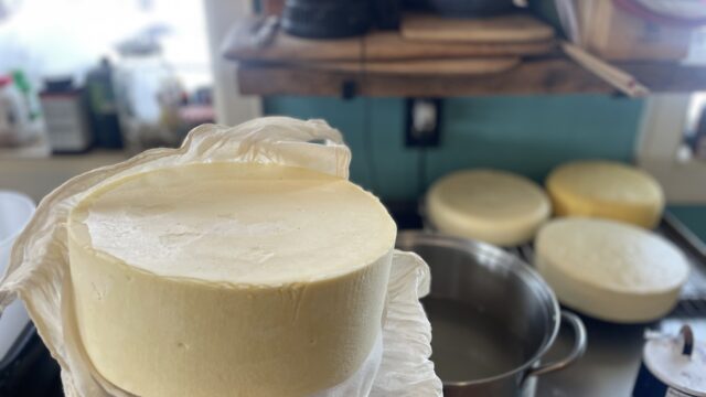 Good Momma Farm Cheese