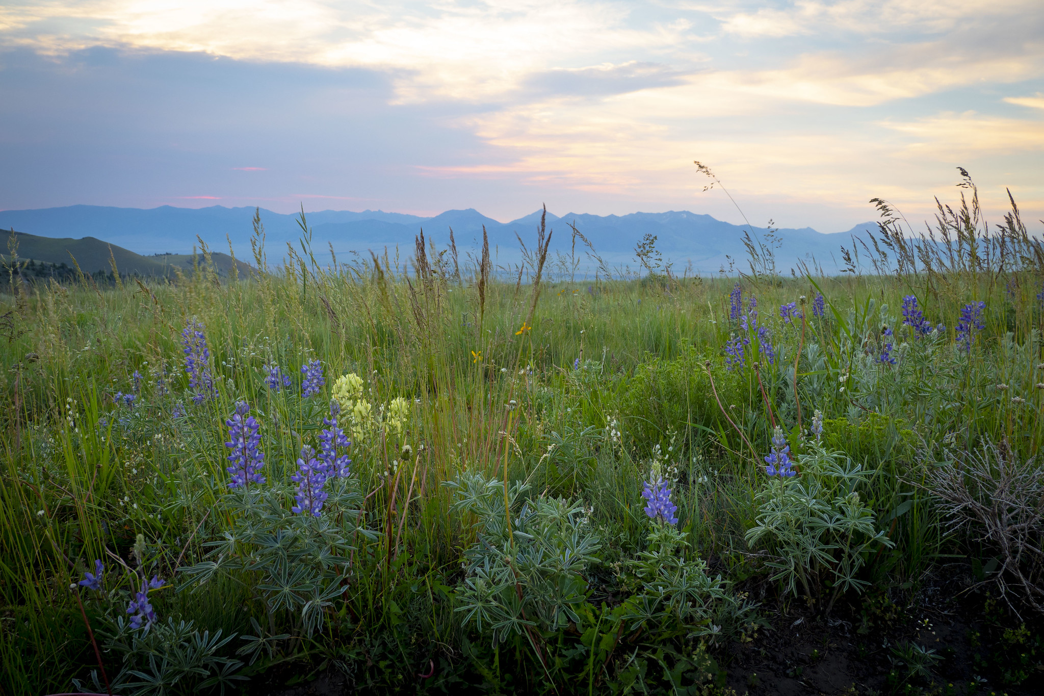 Southwest Montana