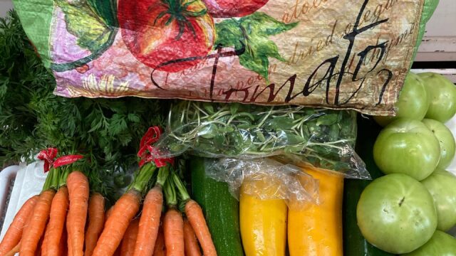 Sugar Beet Row Produce